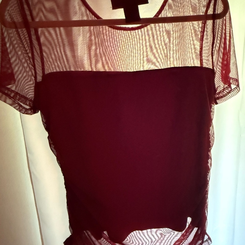 DKNY Red Sheer Fitted/Ruched Short Sleeve Top - Picture 4 of 6